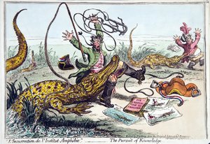 "L&39;Insurrection de l&39;Institut Amphibie" أو The Pursuit of Knowledge ، نشرته Hannah Humphrey في عام 1799 (النقش الملون يدويًا)